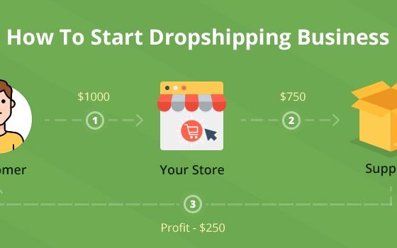 how to start an ecommerce dropship business